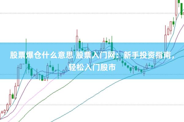 股票爆仓什么意思 股票入门网：新手投资指南，轻松入门股市