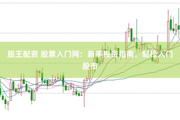 股王配资 股票入门网：新手投资指南，轻松入门股市