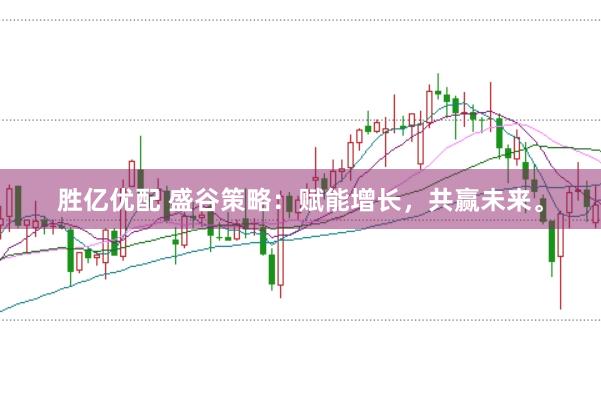 胜亿优配 盛谷策略：赋能增长，共赢未来。
