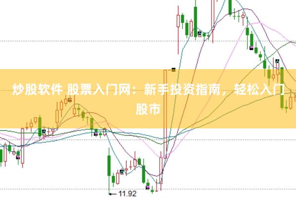 炒股软件 股票入门网：新手投资指南，轻松入门股市