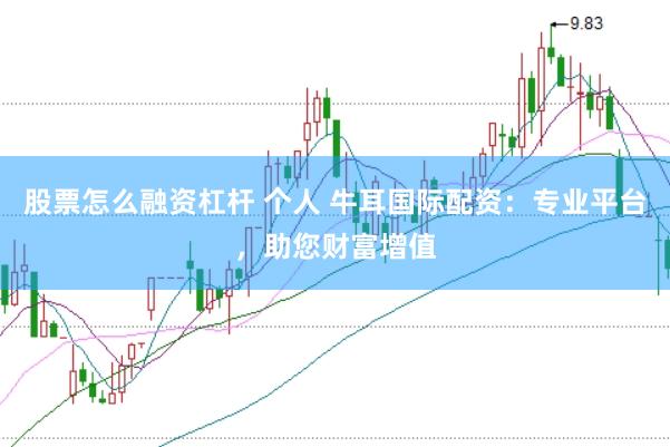 股票怎么融资杠杆 个人 牛耳国际配资：专业平台，助您财富增值