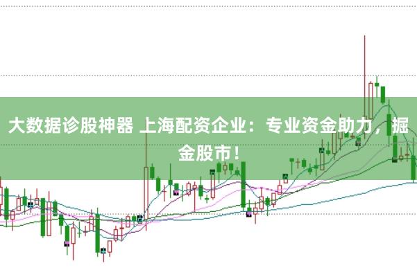大数据诊股神器 上海配资企业：专业资金助力，掘金股市！