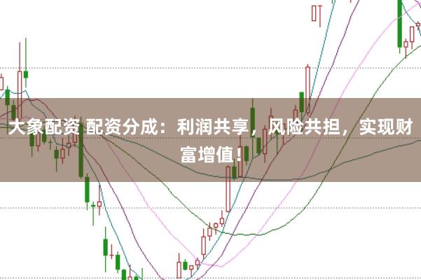 大象配资 配资分成：利润共享，风险共担，实现财富增值！