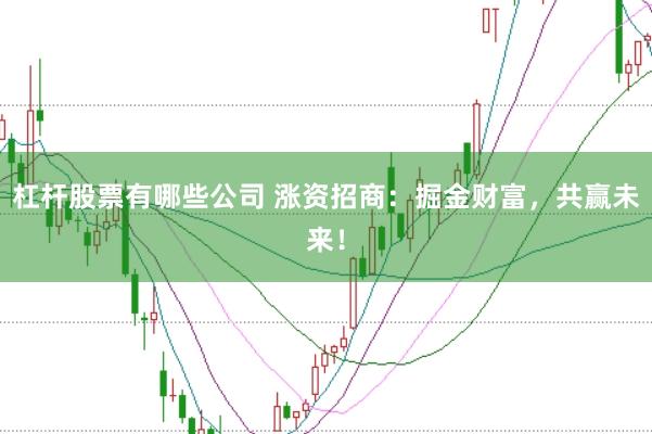杠杆股票有哪些公司 涨资招商：掘金财富，共赢未来！