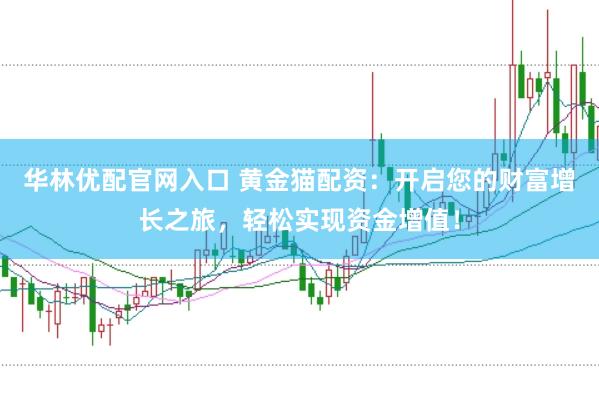 华林优配官网入口 黄金猫配资：开启您的财富增长之旅，轻松实现资金增值！