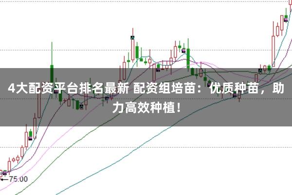 4大配资平台排名最新 配资组培苗：优质种苗，助力高效种植！