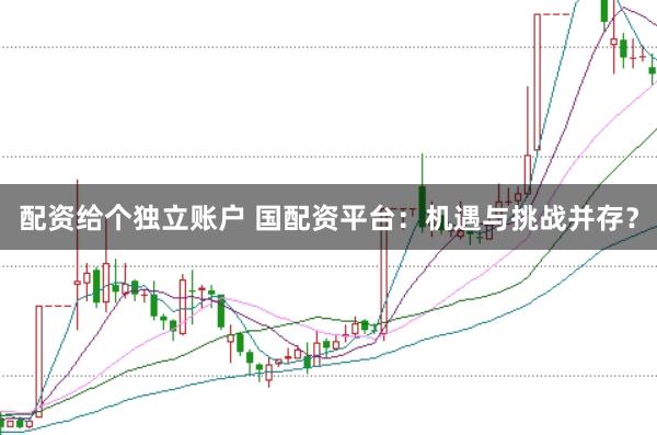 配资给个独立账户 国配资平台：机遇与挑战并存？
