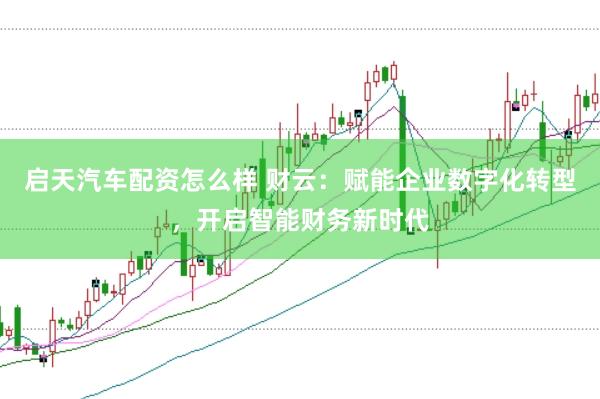 启天汽车配资怎么样 财云：赋能企业数字化转型，开启智能财务新时代