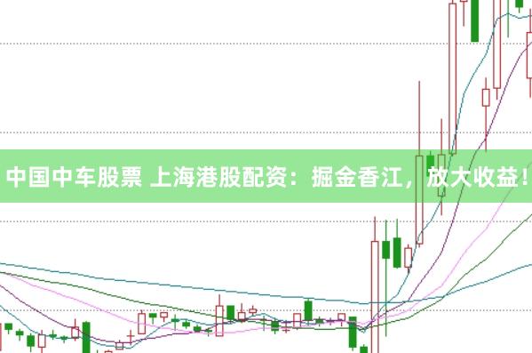 中国中车股票 上海港股配资：掘金香江，放大收益！