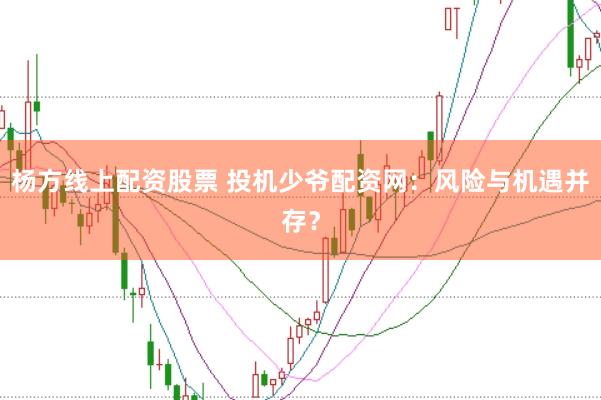 杨方线上配资股票 投机少爷配资网：风险与机遇并存？