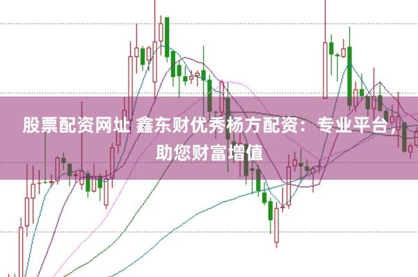 股票配资网址 鑫东财优秀杨方配资：专业平台，助您财富增值