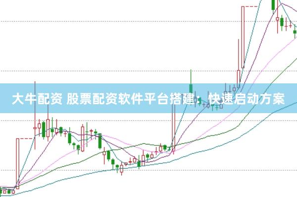 大牛配资 股票配资软件平台搭建：快速启动方案