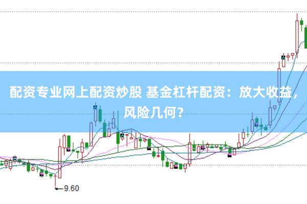 配资专业网上配资炒股 基金杠杆配资：放大收益，风险几何？