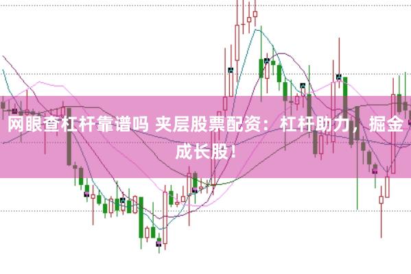 网眼查杠杆靠谱吗 夹层股票配资：杠杆助力，掘金成长股！