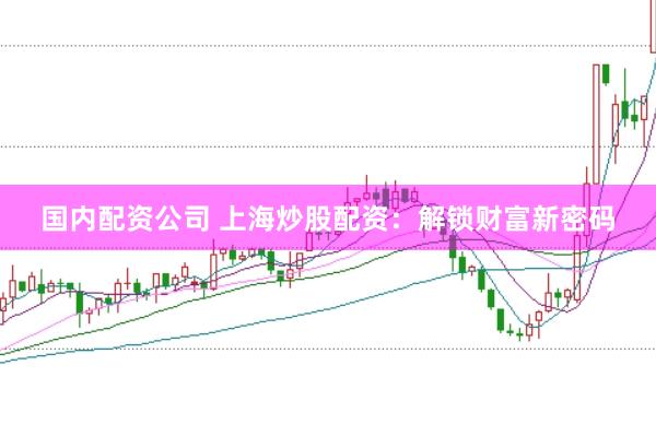 国内配资公司 上海炒股配资：解锁财富新密码