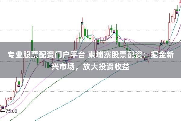 专业股票配资门户平台 柬埔寨股票配资：掘金新兴市场，放大投资收益